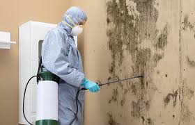 Best Real Estate Mold Inspection in Fairborn, OH